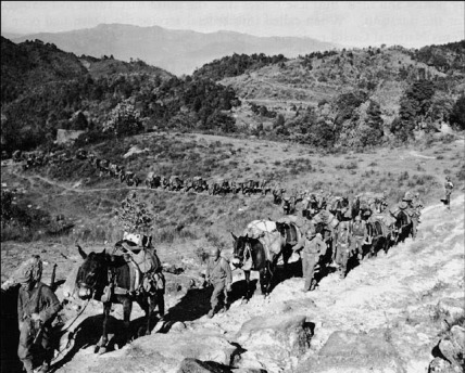 Mule Skinners and Pack Animals of the MARS Task Ford-Burma Road January 1945-WWII