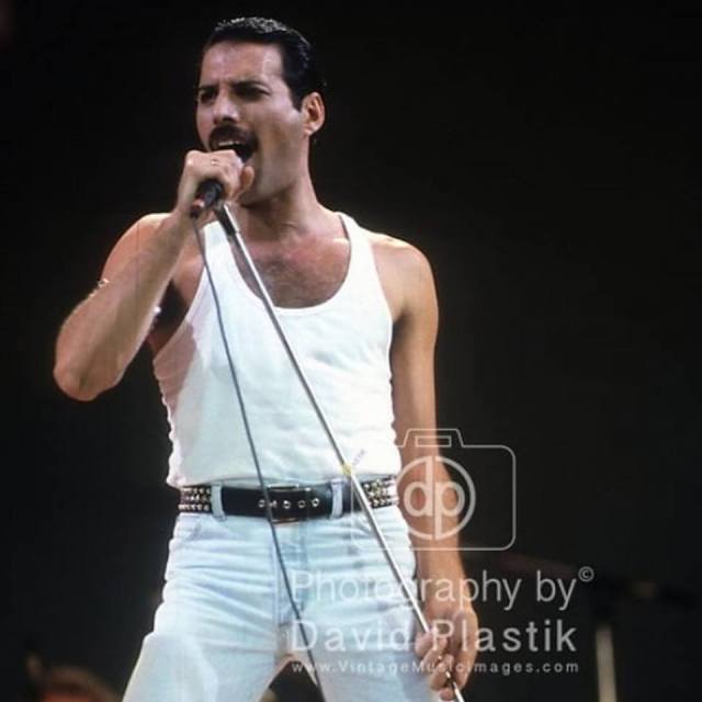 Queen-Freddie-Mercury-Live-Aid-David-Plastik-Vintage-Music-Images-Copyright-